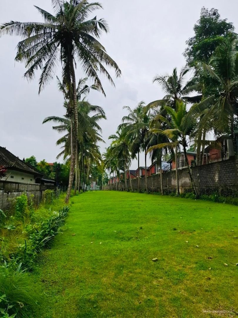 Tanah kedewatan ubud