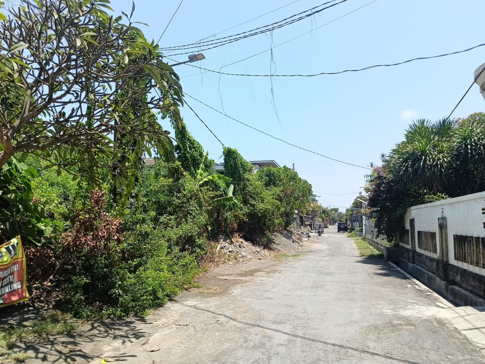 Tanah pemuda renon