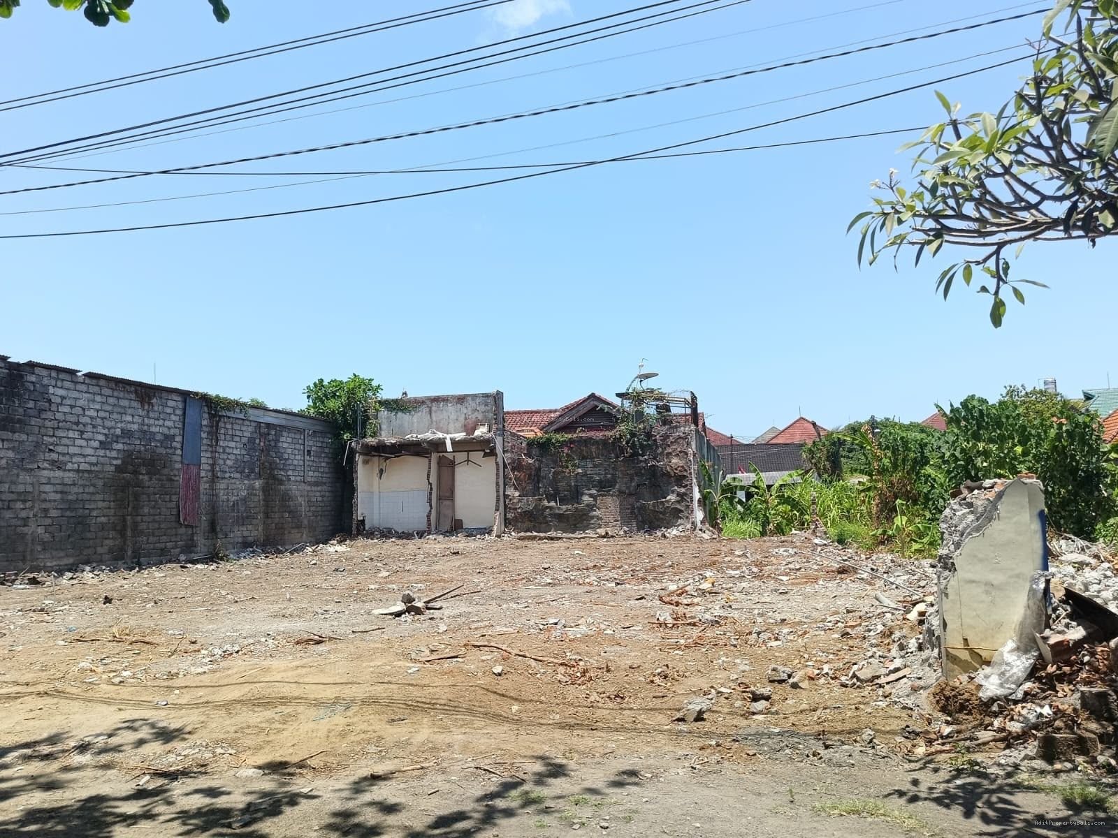 Tanah pemuda renon